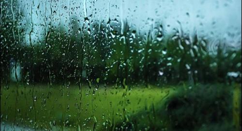 � ������������� ���� ��������� ���������� �������������� 