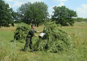 �������� 4 ������������ �� ����� ����������� ������� ����������