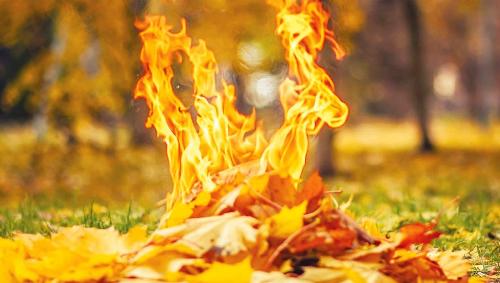 ����� ��� �������