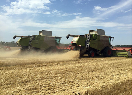 � ������� ������ ������������ ������ ������ 