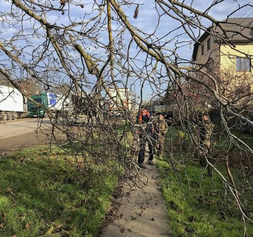 ����������� ����������� ������������� ���������������� ��������� ��������� ���������� �������� ������� �� ������ �������