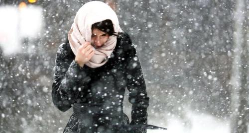 ��������� ��������������!