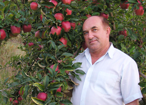 ��������� ����� �������� �� ������ ����������� ���������� � ���������-������������� ��������� ����������� ����������������� ���������