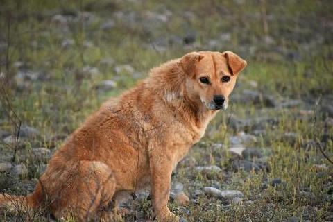 15 ������� � ������� �������� ��������� ����� ����������� ����� ��������� �����