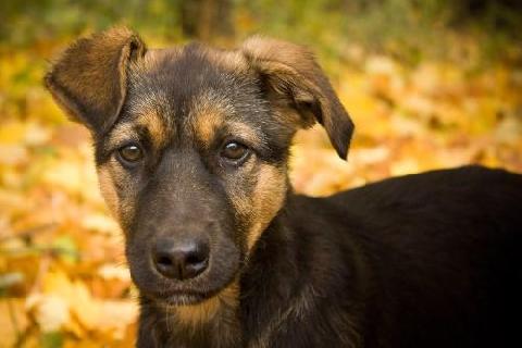 5 ������� � ��������������� �������� ��������� ����� ����������� ����� ��������� �����    