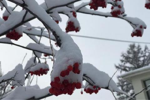 � ������������� ���� ��������� ��������� ��������������