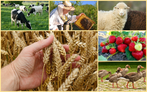 � 21 ������ 2020 ���� ���������� ����� ���������� �� �������������� ����� ���� ��������������