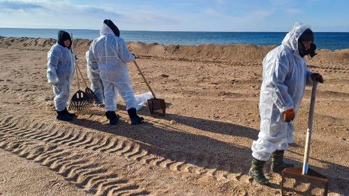 ������ �� ���������� ����������� �� � ����� ������������