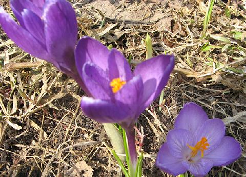 ��������! �� ����������� ����������!