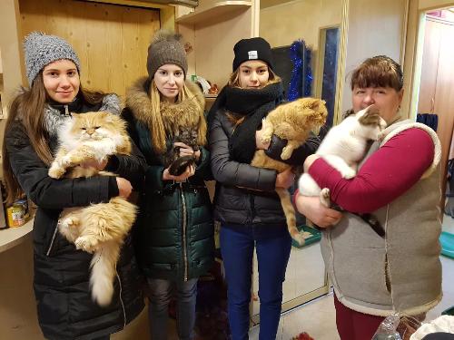 ��� � ������ �� ���, ���� ��������Ȼ 