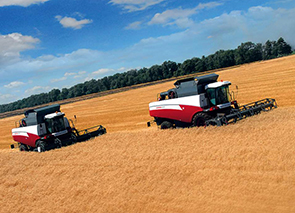 � ������� ������ ���� ����������-���������������� ����������� �������-2016�