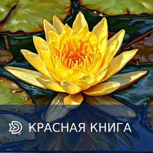 ��������������� �� ����������� ������ � ����������� ��� ������� ������������ ��������, ���������� � ������� �����