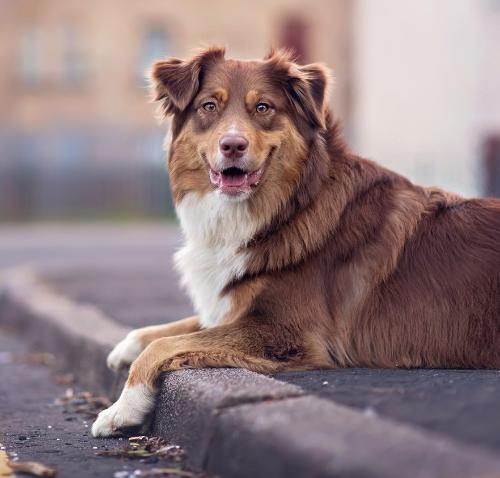 ���������� ��������� ��������� ������������� �������� ������ �����������!