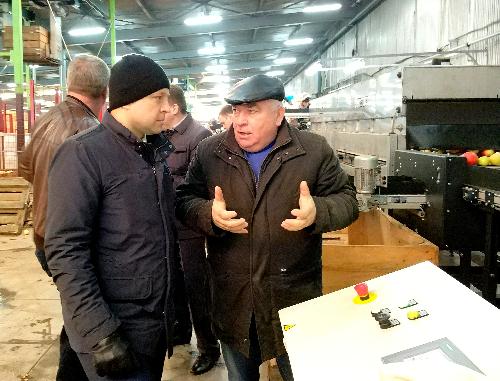 �����������: ����������� ��� ������� � ���������