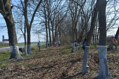 � ������� ���������� ������ ���������� ���������