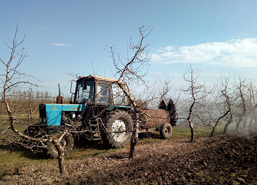 �������� �������� ��������� �������� �������� 