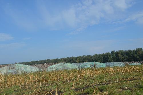 � ������� ������ ������ ���� �� ��������� ����������� ���������