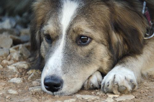 26 ���� � ������� �������� ��������� ����� ����������� ����� ��������� �����