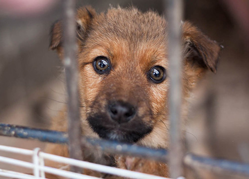 ���������� � ��������� ����� ������������!