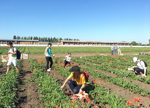 � ���������� �������� �������� ����