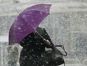 ������ ������ ���������� � ����� ��������