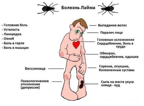 ��������������� ���������� � ����� ������������ ������� �����