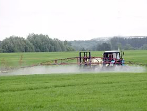 � ������������ ������ ������������� ����