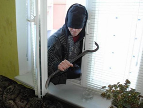 ��� ������������ ���������� �����