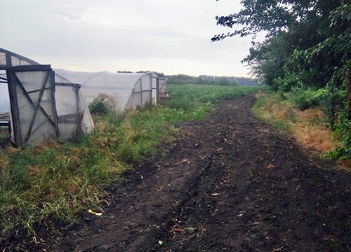 �������� ����������� ���������� �������� �� �����