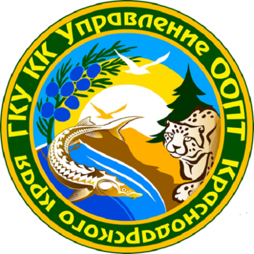 ������ �������� � ������������ ���������� �������� ������?