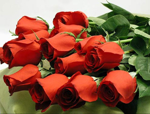 ������� ������� �������� ������! ������� ������ � ��������� ������������ � ���� ������!