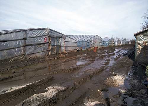 ���� ������� ������� ���������� �������� � ��������