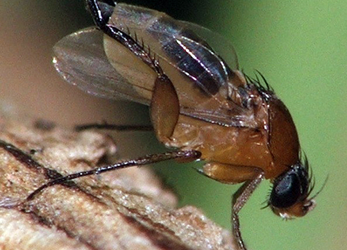 ��������: ����-��������!