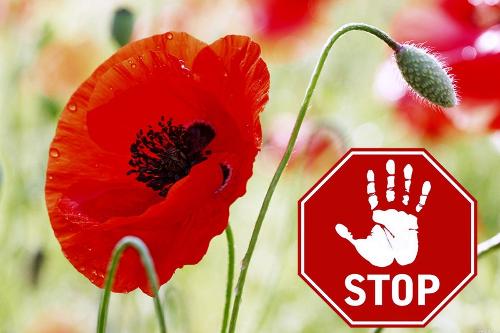 � ������� ������ ������� 1 ���� ���������������� ����������������� ����� ����-2023�