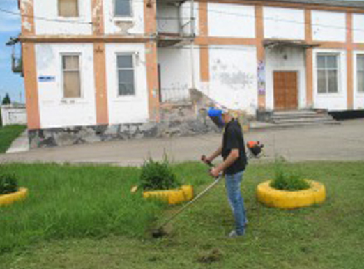 ���������� � ���������������� �����������