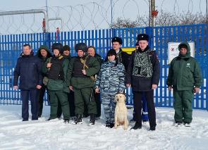 ������ � �. ����� �������� ������