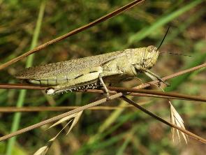 ��������! �������!!!