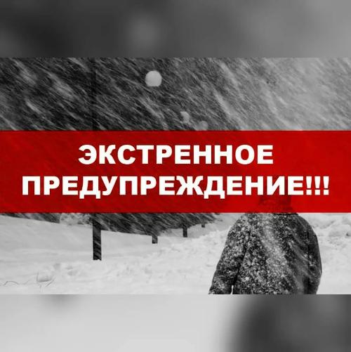 ���������� ��������������
