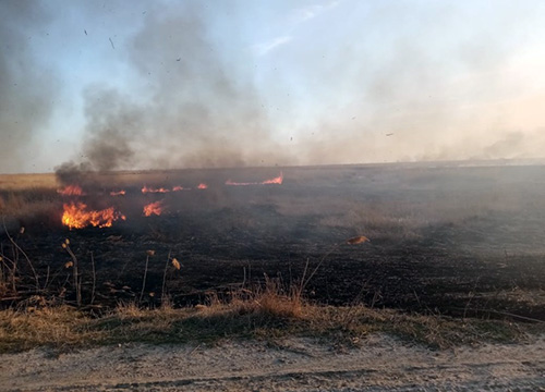 ��������� ������ �������� ������������ ������ ���������������� � ��������� ���������������