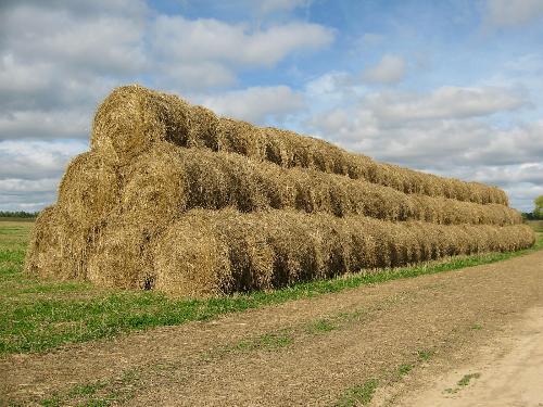 � ���� ������� ����� � ������� ������