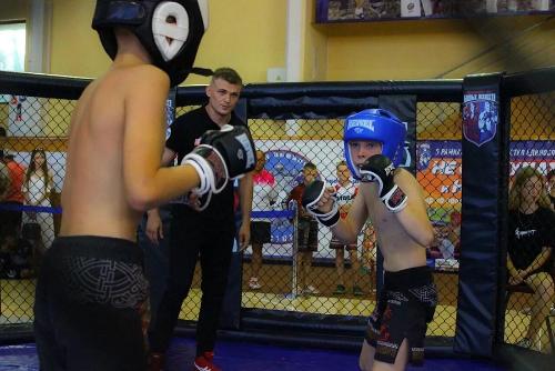 ������ ������� �������� ��������������� ���������� �� �����������