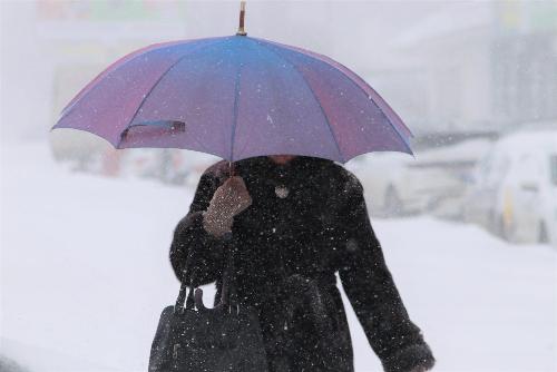 � �������� ������������� ���� ����� ������� ������