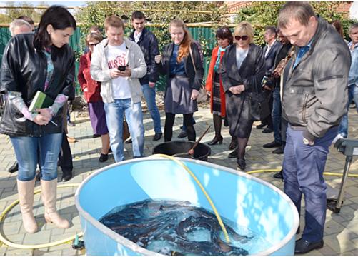 34 ��������� ������ ���������� ����������� ����