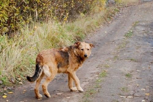 7 ������� � ������� �������� ��������� ����� ����������� ����� ��������� �����    