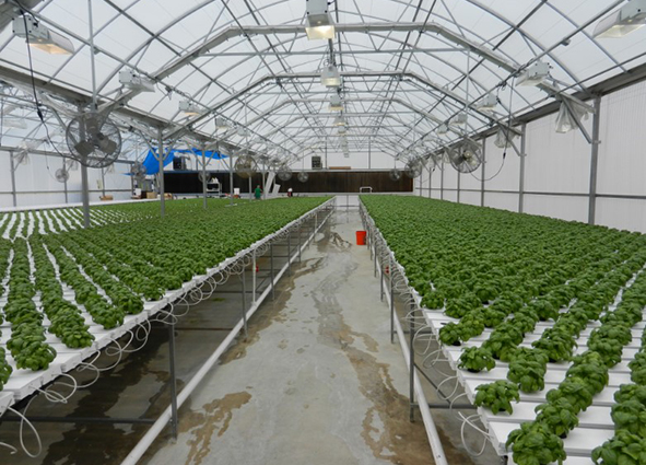 ����������� ����������� ������� �������� � ������� ������ �� ��������� ������������� ����������������