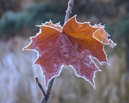 � �������������� ������� � ������ ����������� �� ������ � 10 ������