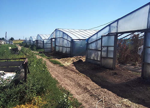 ����������� �������� ���������� �������� � ���������������, ����������������� � ��������������  �������� ����������