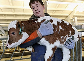 ���������� ����� ���������� �� �������������� ����� ���� ��������������