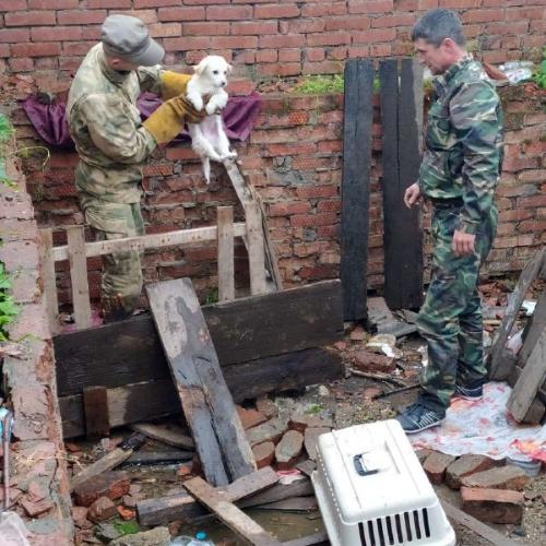 � ����������� �������� ��������� 16 ��� ����� ����������� ����� ��������� �����