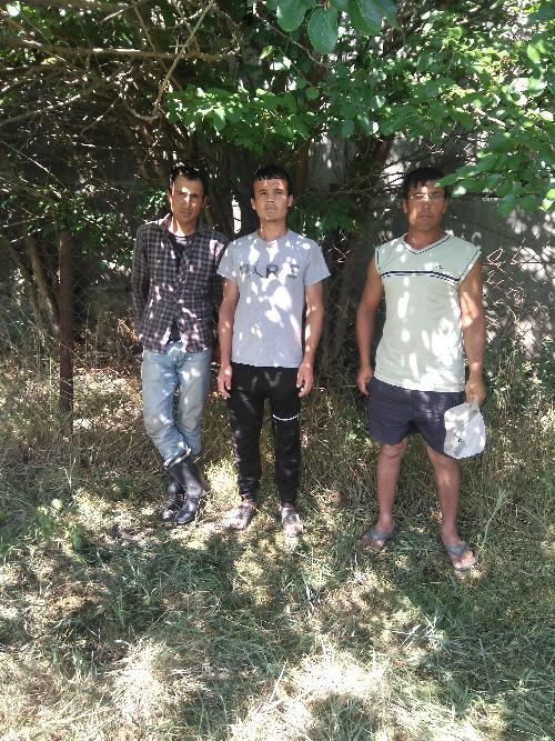 � ������� ��������������� ������� ���� ����������� �������